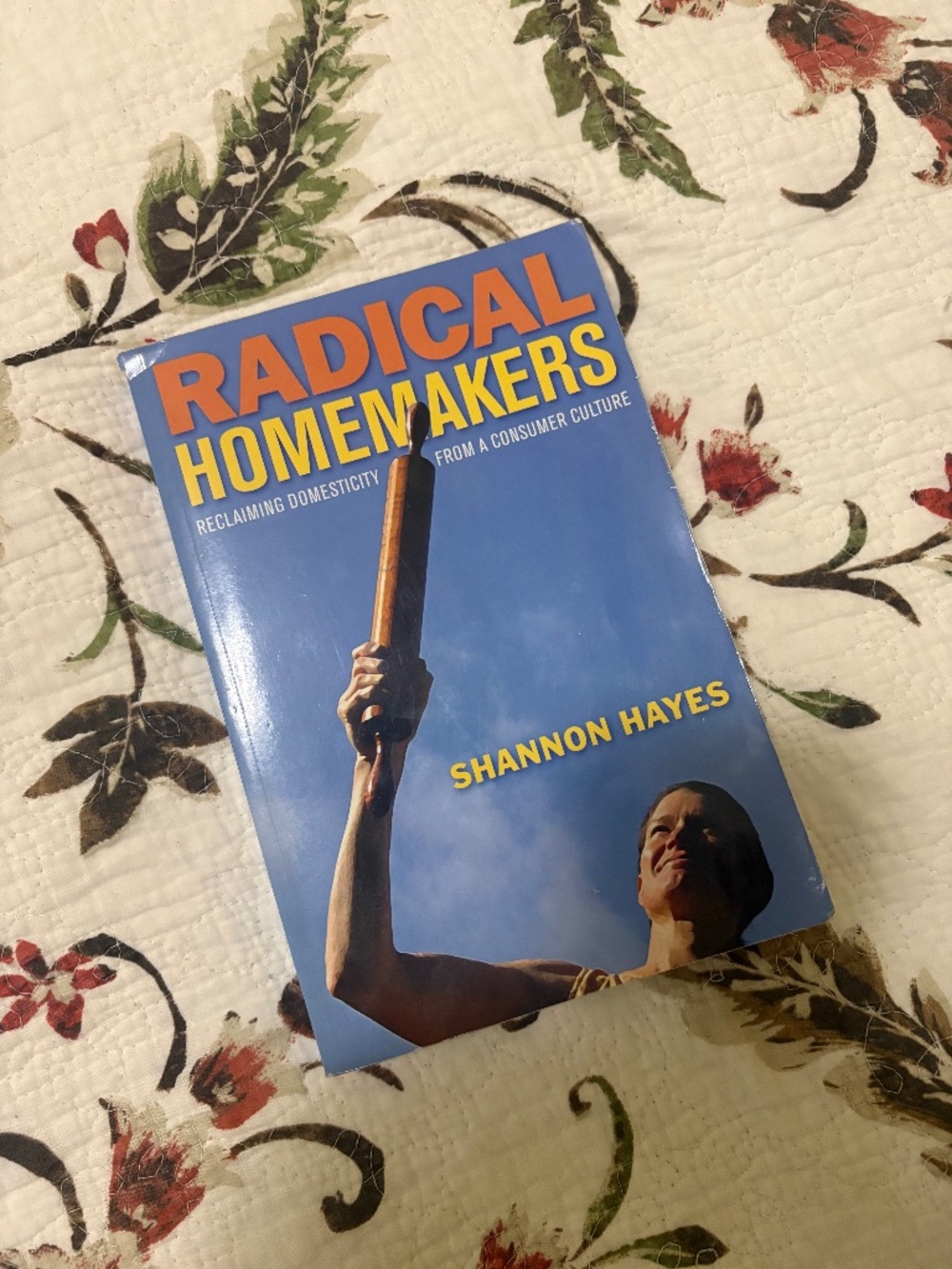 Radical Homemakers by Shannon Hayes